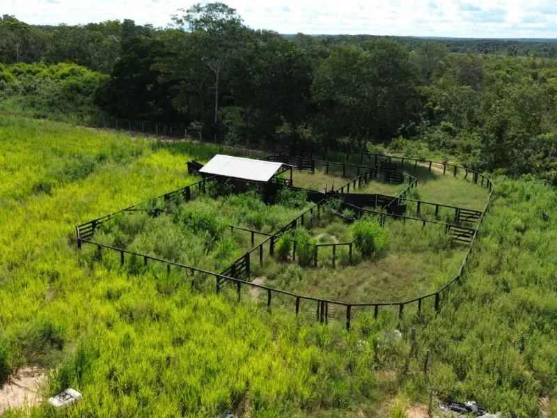 Fazenda em Tupirama/Tocantins — Ref W4ZUTF — Imagem 12