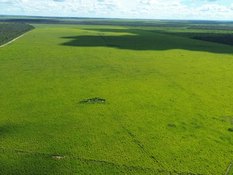 Imóvel rural em Tupirama/Tocantins — Ref W4ZUTF1