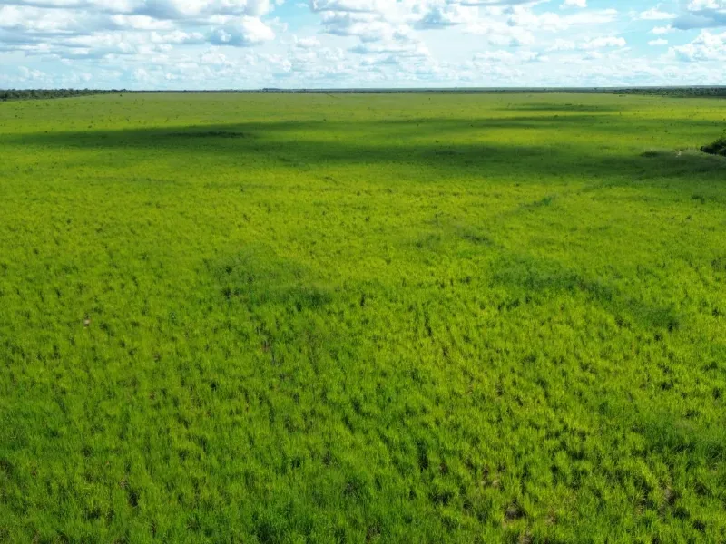 Fazenda em Tupirama/Tocantins — Ref W4ZUTF — Imagem 4