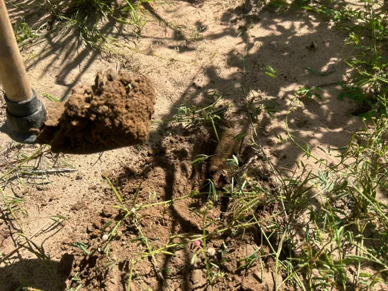 Fazenda em Tupirama/Tocantins — Ref W4ZUTF — Imagem 14