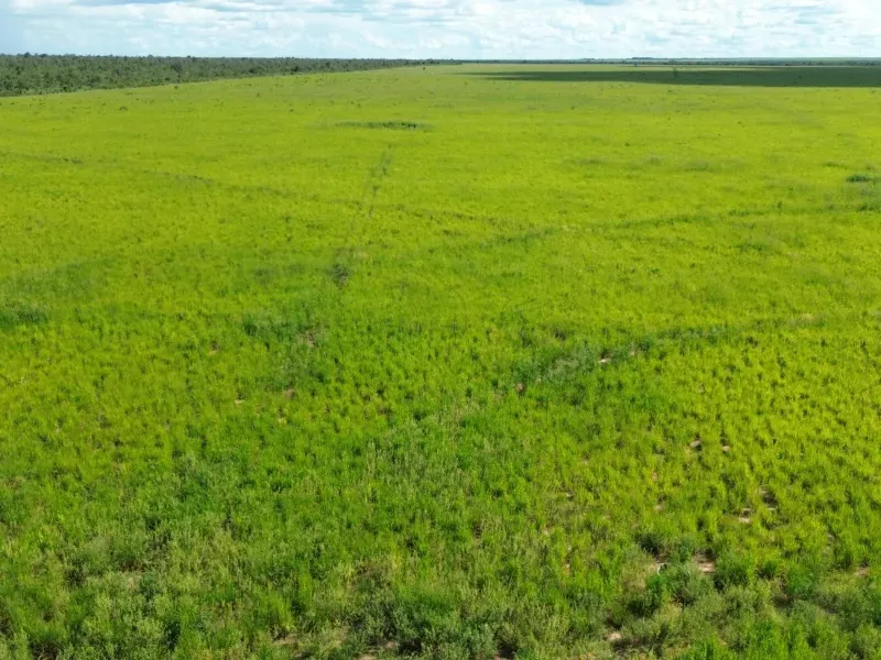 Fazenda em Tupirama/Tocantins — Ref W4ZUTF — Imagem 5