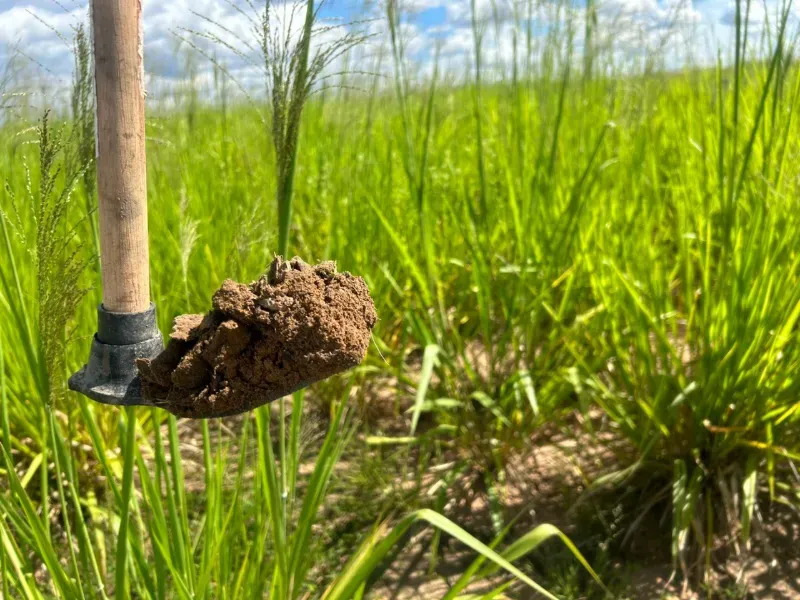 Fazenda em Tupirama/Tocantins — Ref W4ZUTF — Imagem 15