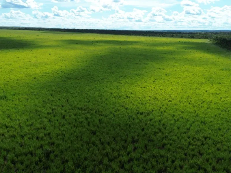 Fazenda em Tupirama/Tocantins — Ref W4ZUTF — Imagem 6