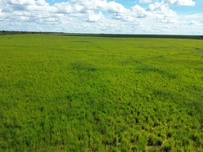 Fazenda em Tupirama/Tocantins — Ref W4ZUTF — Imagem 7