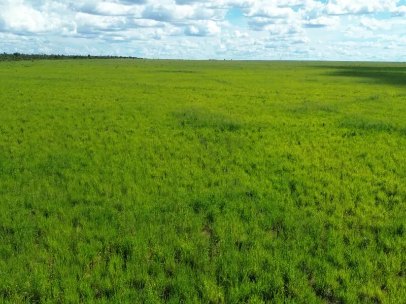 Fazenda em Tupirama/Tocantins — Ref W4ZUTF — Imagem 8