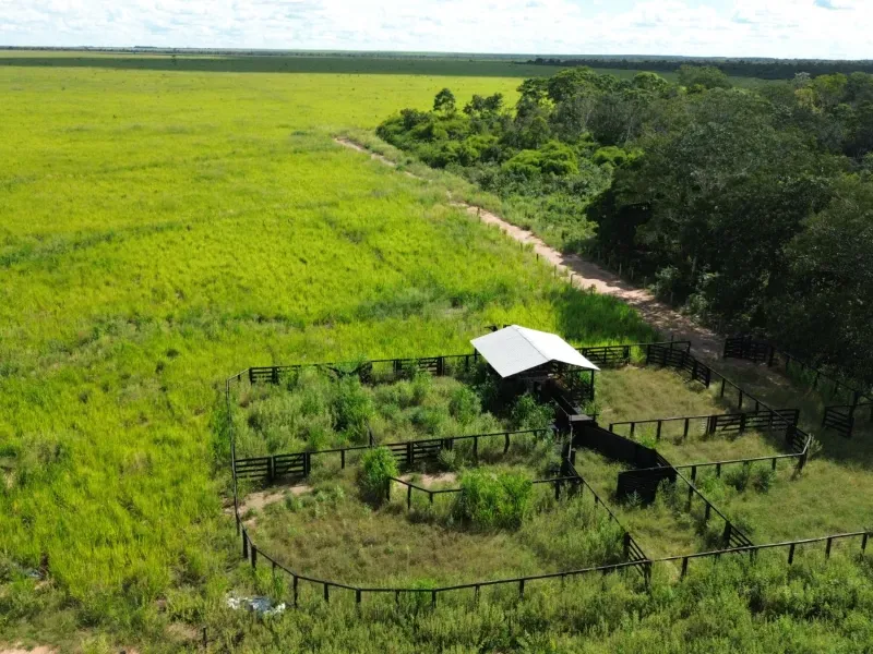 Fazenda em Tupirama/Tocantins — Ref W4ZUTF — Imagem 13