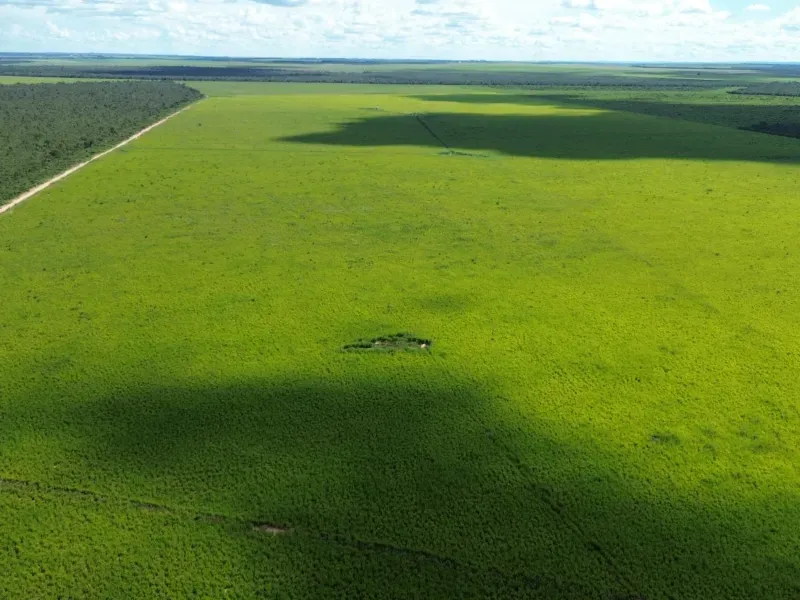 Fazenda em Tupirama/Tocantins — Ref W4ZUTF — Imagem 9