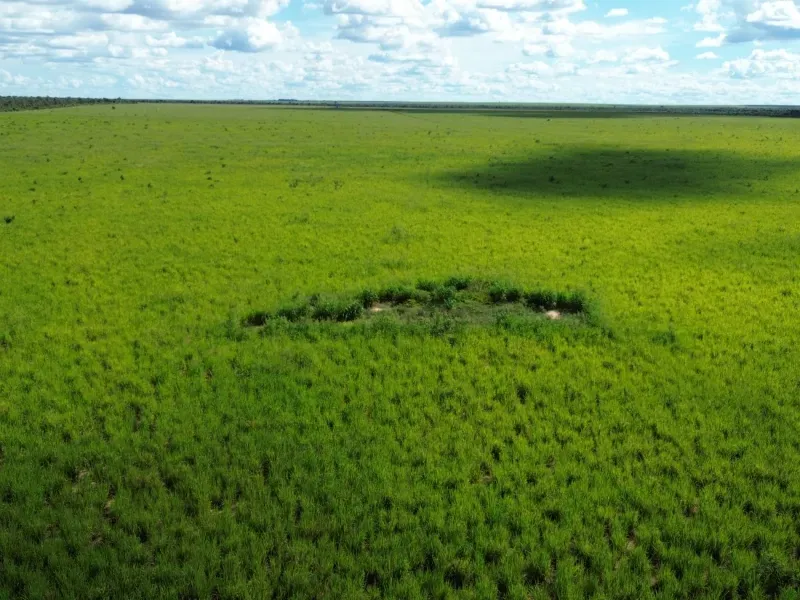 Fazenda em Tupirama/Tocantins — Ref W4ZUTF — Imagem 10