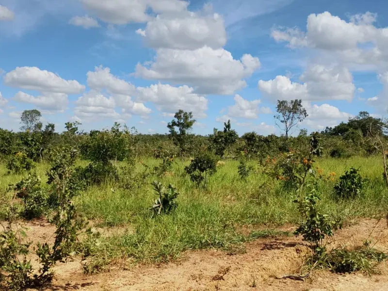 Fazenda em Unaí/Minas Gerais — Ref A9IAEI — Imagem 5