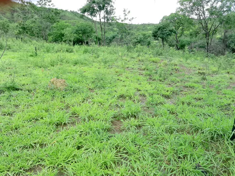Fazenda em Unaí/Minas Gerais — Ref A9IAEI — Imagem 9