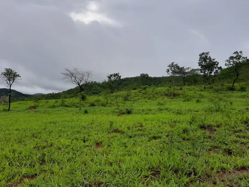 Fazenda em Unaí/Minas Gerais — Ref A9IAEI — Imagem 10