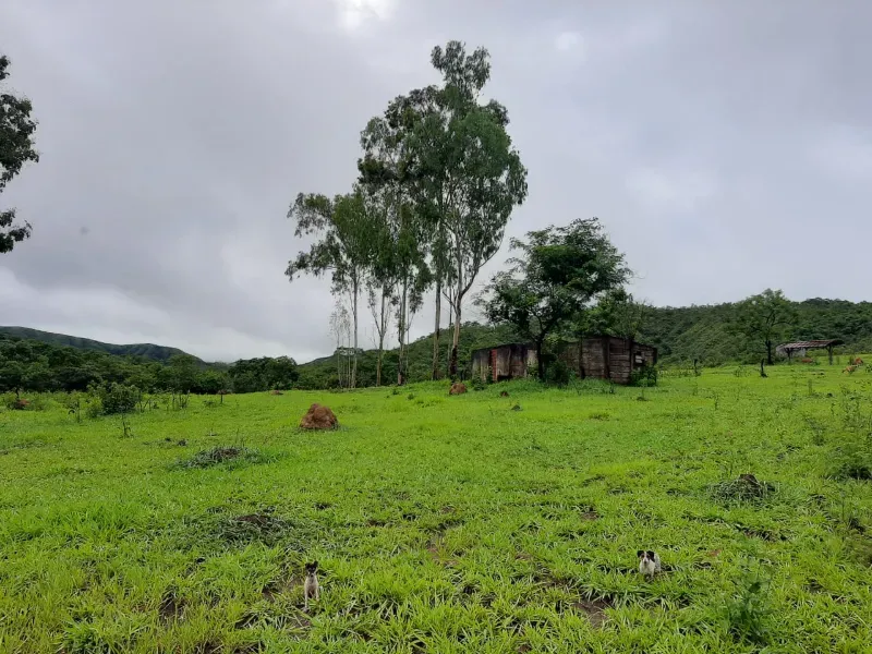 Fazenda em Unaí/Minas Gerais — Ref A9IAEI — Imagem 11