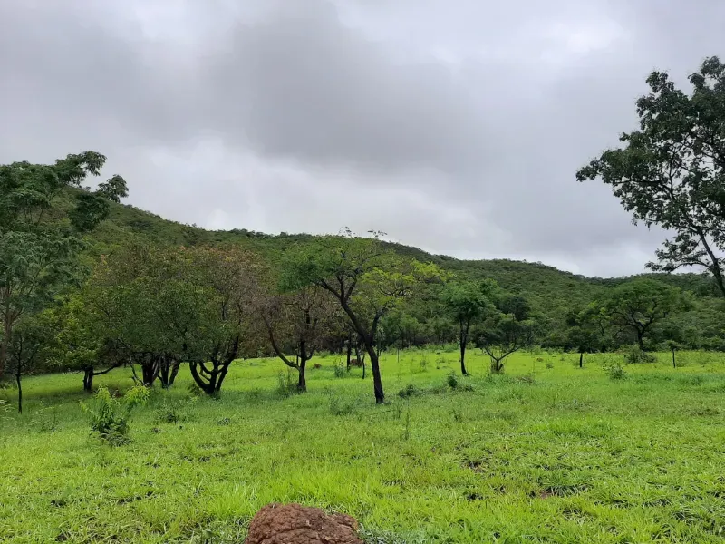 Fazenda em Unaí/Minas Gerais — Ref A9IAEI — Imagem 12