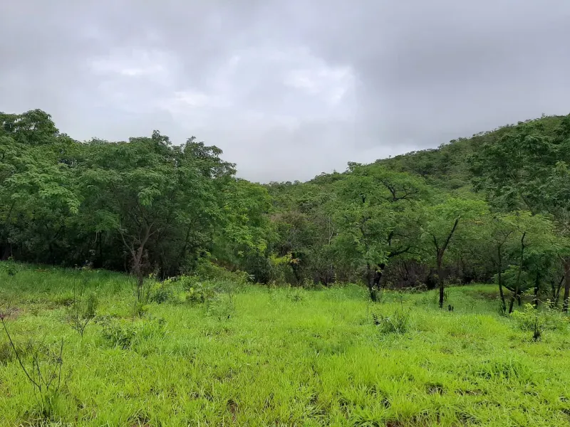 Fazenda em Unaí/Minas Gerais — Ref A9IAEI — Imagem 13