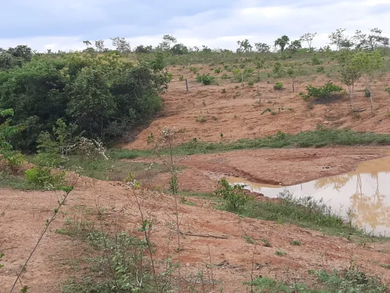 Fazenda em Unaí/Minas Gerais — Ref A9IAEI — Imagem 16
