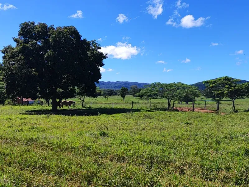 Fazenda em Unaí/Minas Gerais — Ref YB6BNN — Imagem 3