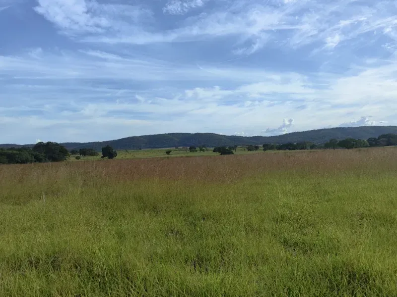 Fazenda em Unaí/Minas Gerais — Ref YB6BNN — Imagem 4