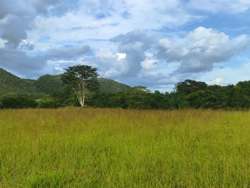 Fazenda em Unaí/Minas Gerais — Ref YB6BNN — Imagem 5