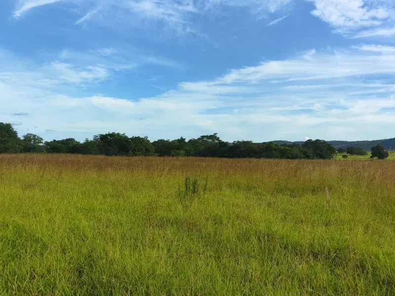 Fazenda em Unaí/Minas Gerais — Ref YB6BNN — Imagem 6