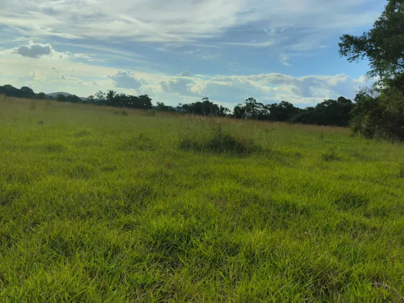 Fazenda em Unaí/Minas Gerais — Ref YB6BNN — Imagem 8