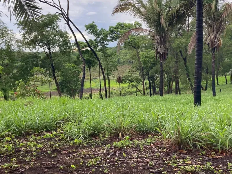 Imóvel rural em Uruaçu/Goiás — Ref YMO6CJ1