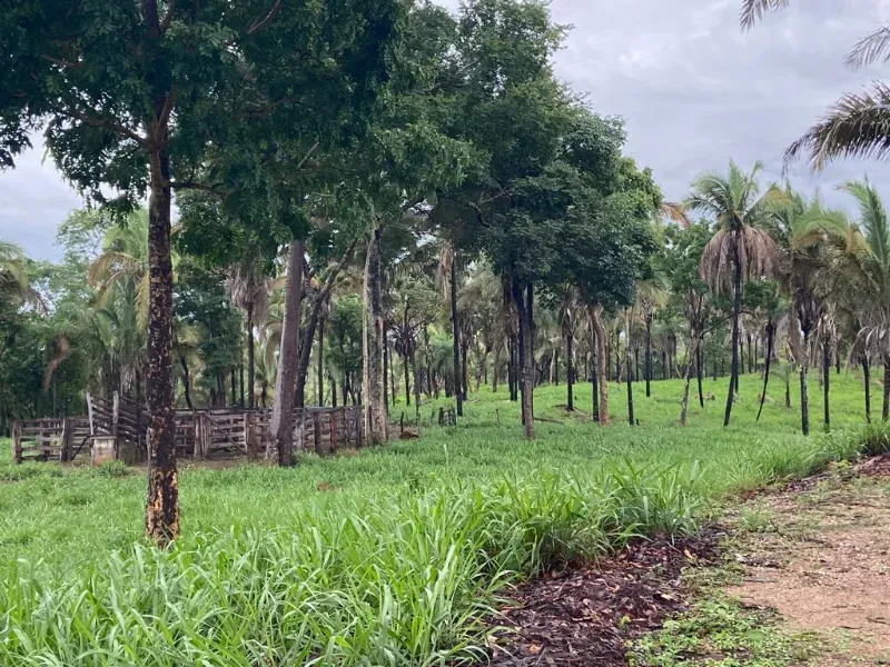 Fazenda em Uruaçu/Goiás — Ref YMO6CJ — Imagem 3
