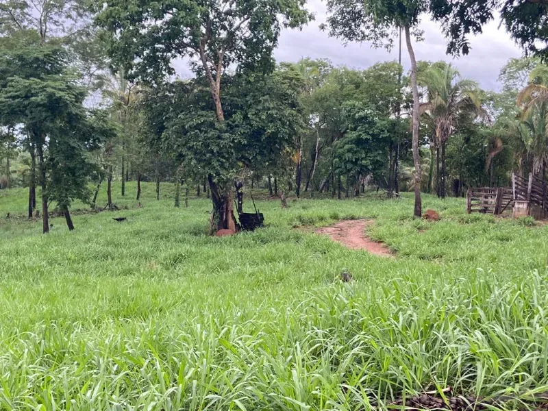Fazenda em Uruaçu/Goiás — Ref YMO6CJ — Imagem 6