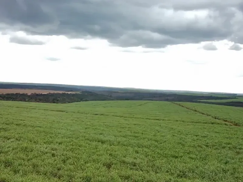 Imóvel rural em Varjão de Minas/Minas Gerais — Ref NVBWEV1