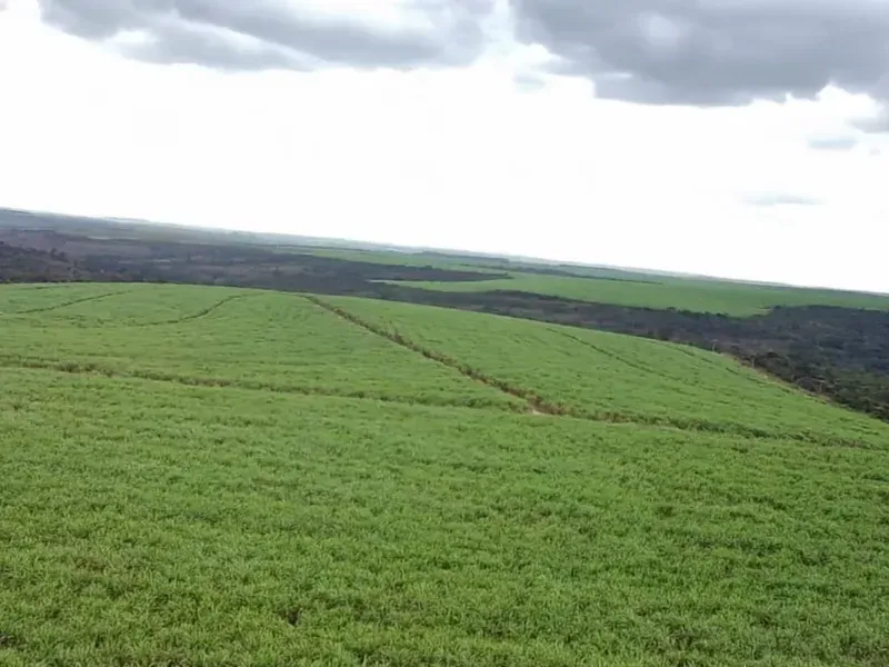 Fazenda em Varjão de Minas/Minas Gerais — Ref NVBWEV — Imagem 2