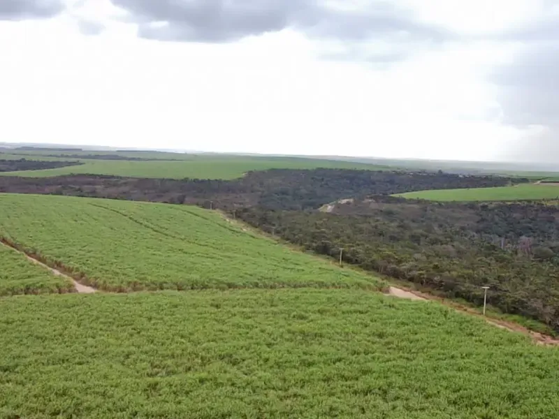 Fazenda em Varjão de Minas/Minas Gerais — Ref NVBWEV — Imagem 3
