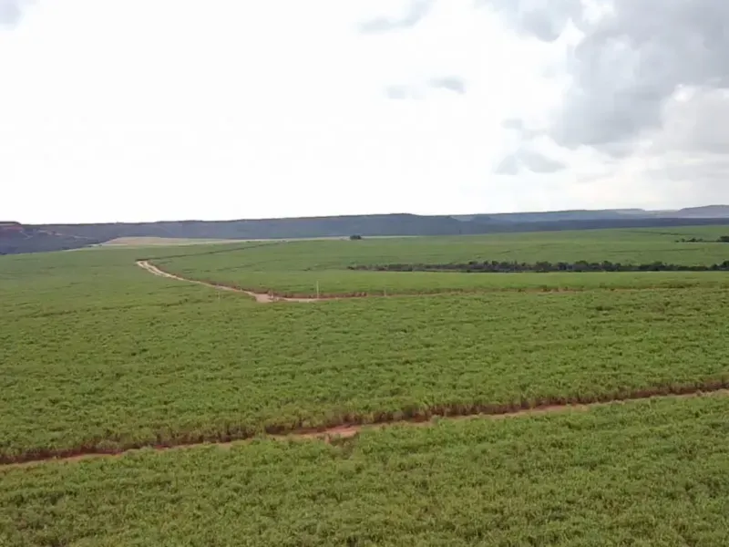 Fazenda em Varjão de Minas/Minas Gerais — Ref NVBWEV — Imagem 4