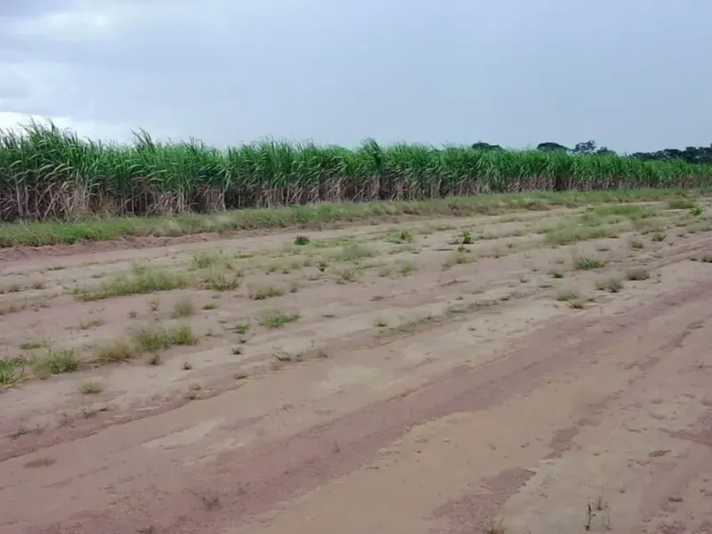 Fazenda em Varjão de Minas/Minas Gerais — Ref NVBWEV — Imagem 6