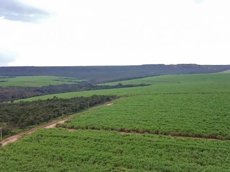 Fazenda em Varjão de Minas/Minas Gerais — Ref NVBWEV — Imagem 7