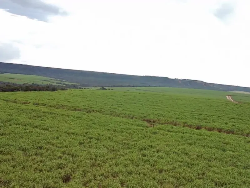 Fazenda em Varjão de Minas/Minas Gerais — Ref NVBWEV — Imagem 8