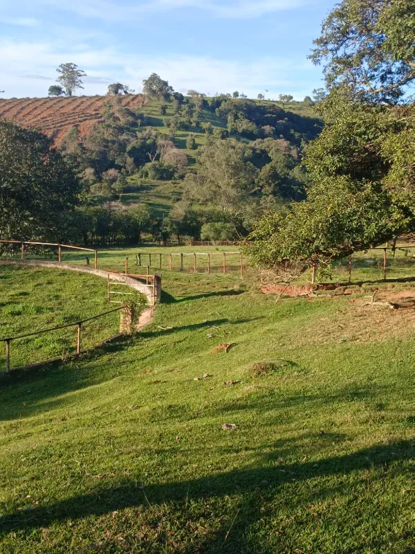 Haras em Bragança Paulista/São Paulo — Ref M55UDV — Imagem 18