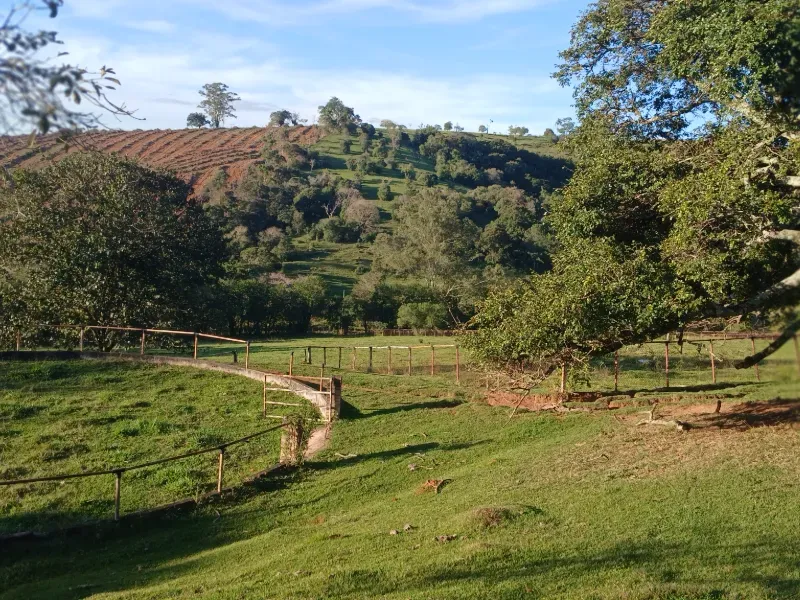 Haras em Bragança Paulista/São Paulo — Ref M55UDV — Imagem 19