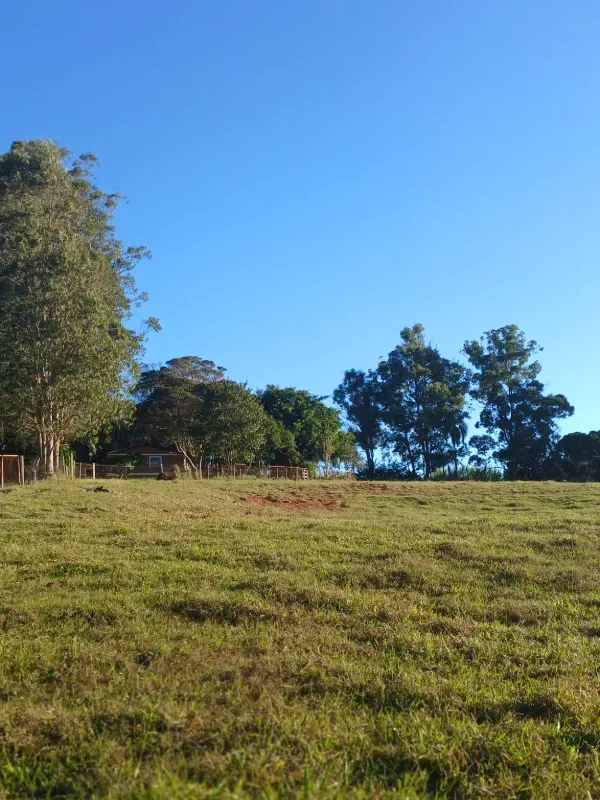 Haras em Bragança Paulista/São Paulo — Ref M55UDV — Imagem 21