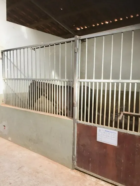 Haras em Caçapava/São Paulo — Ref G14VBE — Imagem 3