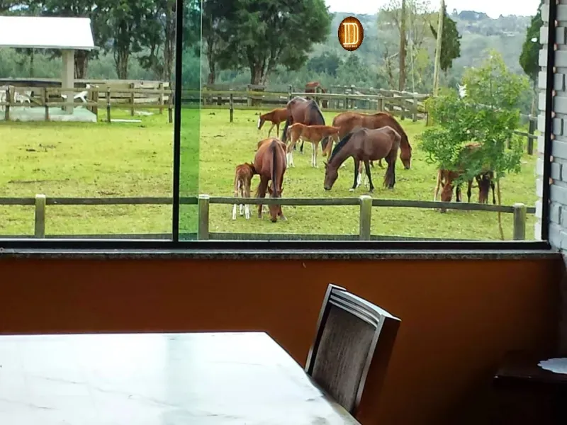 Imóvel rural em Tijucas do Sul/Paraná — Ref 57DPK91