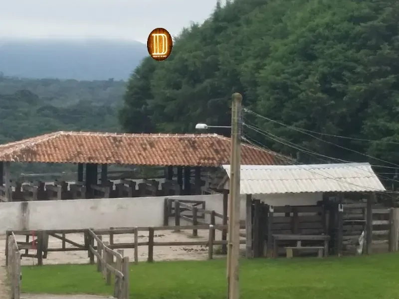 Haras em Tijucas do Sul/Paraná — Ref 57DPK9 — Imagem 7