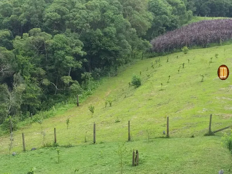 Haras em Tijucas do Sul/Paraná — Ref 57DPK9 — Imagem 8