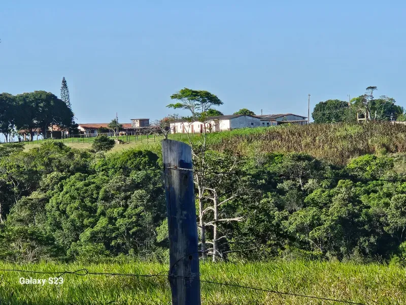 Haras em Vila Velha/Espírito Santo — Ref 5KYG4L — Imagem 15