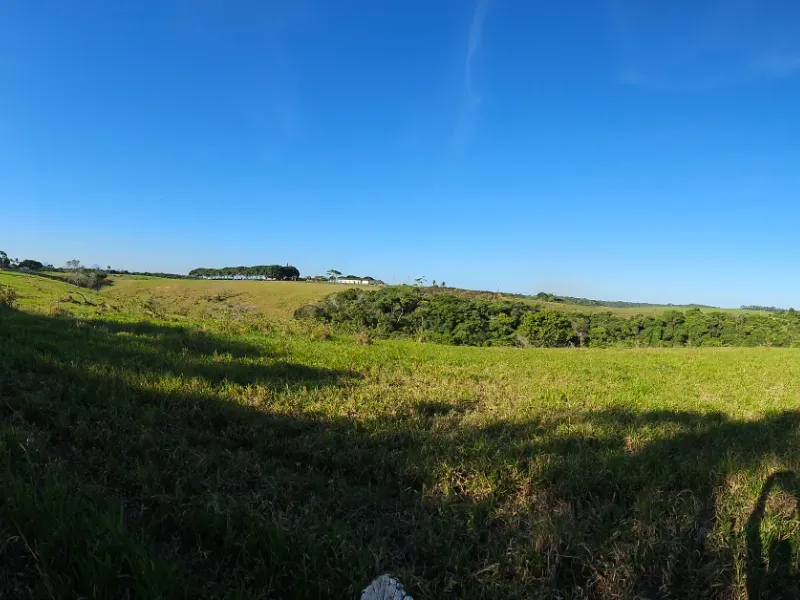 Haras em Vila Velha/Espírito Santo — Ref 5KYG4L — Imagem 12