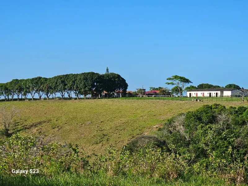 Haras em Vila Velha/Espírito Santo — Ref 5KYG4L — Imagem 14