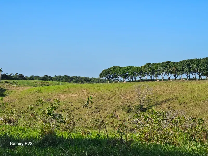 Haras em Vila Velha/Espírito Santo — Ref 5KYG4L — Imagem 13