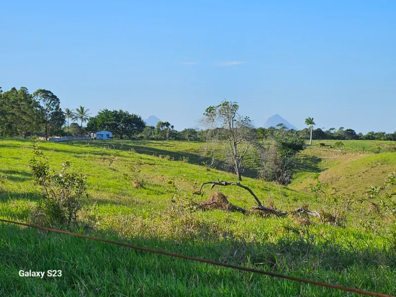 Haras em Vila Velha/Espírito Santo — Ref 5KYG4L — Imagem 11