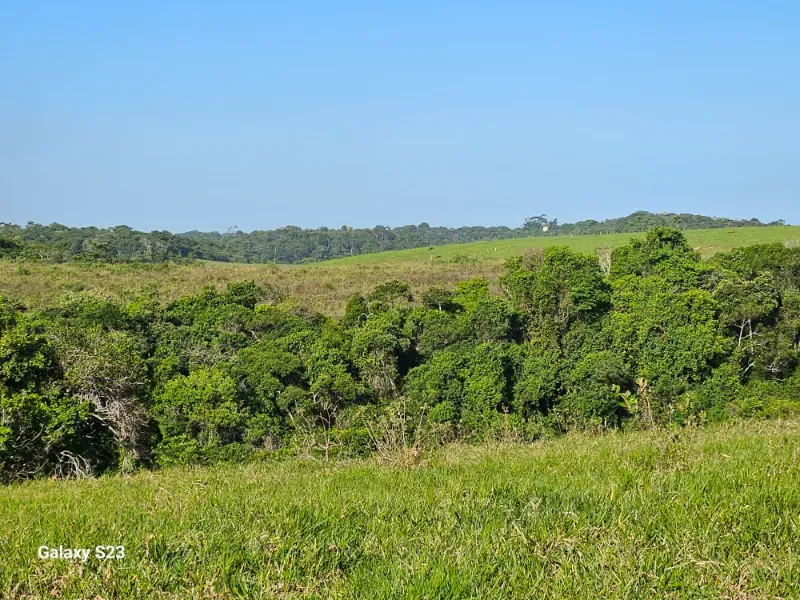 Haras em Vila Velha/Espírito Santo — Ref 5KYG4L — Imagem 17