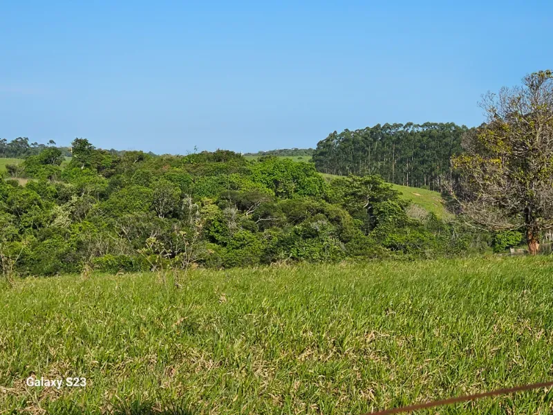 Haras em Vila Velha/Espírito Santo — Ref 5KYG4L — Imagem 18