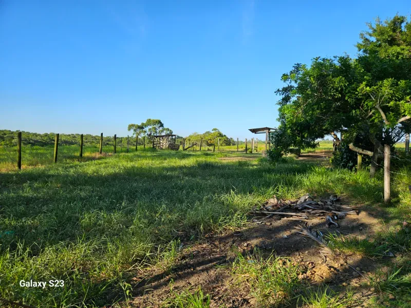 Haras em Vila Velha/Espírito Santo — Ref 5KYG4L — Imagem 31