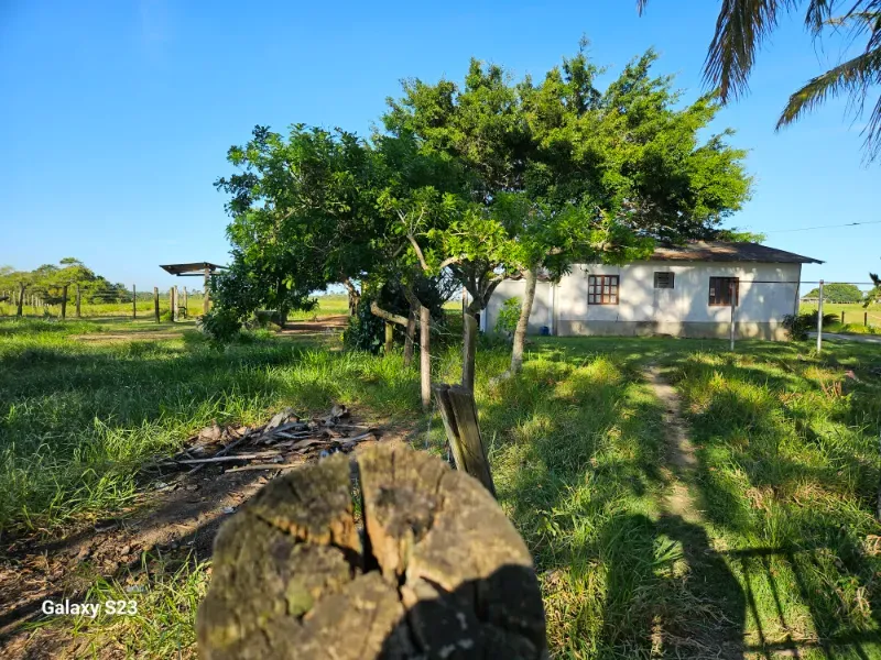 Haras em Vila Velha/Espírito Santo — Ref 5KYG4L — Imagem 33